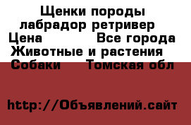 Щенки породы лабрадор ретривер › Цена ­ 8 000 - Все города Животные и растения » Собаки   . Томская обл.